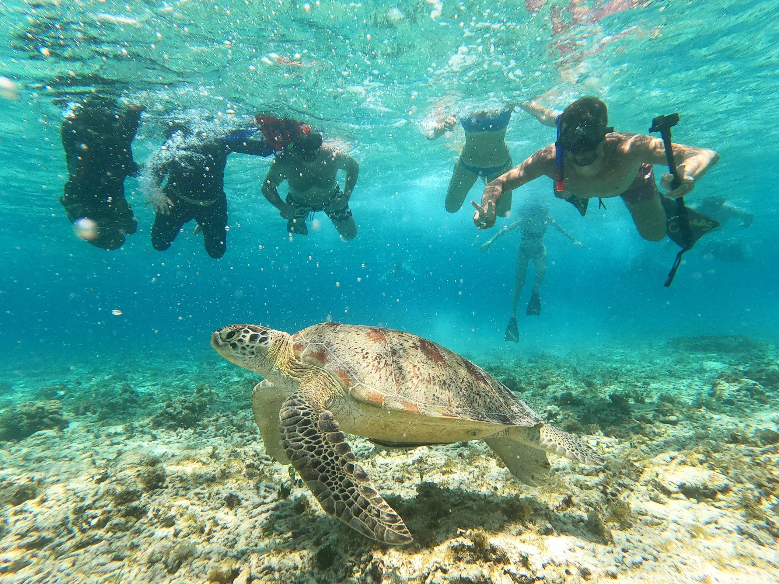 Gili T Snorkeling