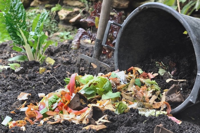 Inovasi Pengolahan Limbah Organik Menjadi Produk Bernilai Ekonomi
